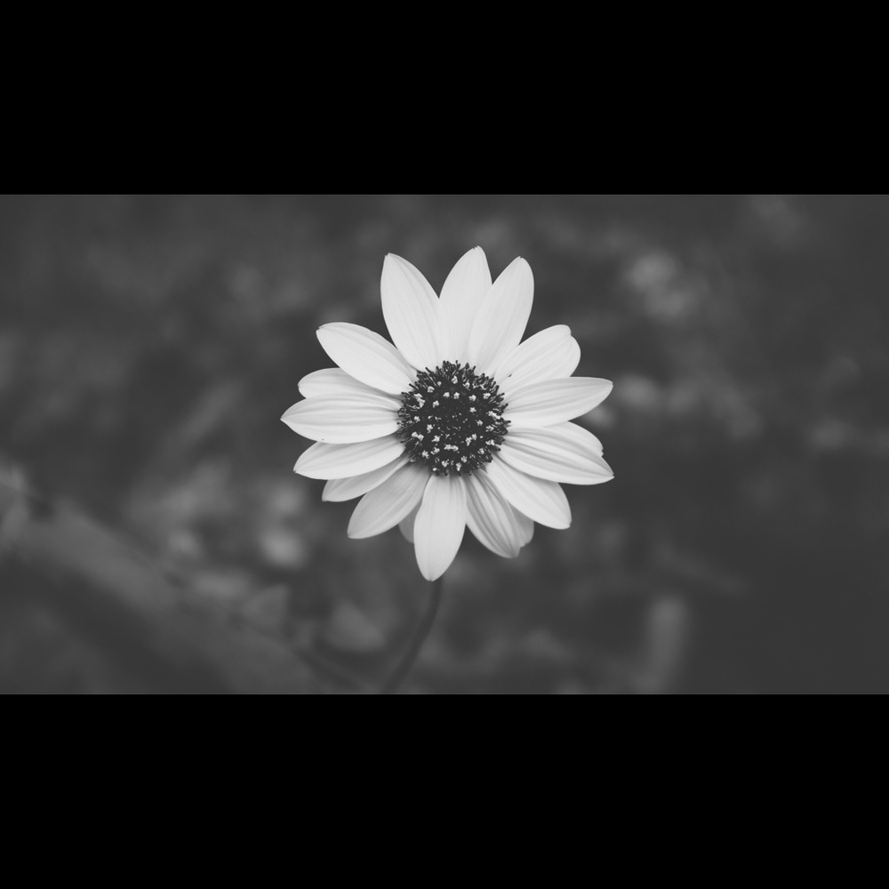 Meet your Posher, Gianna